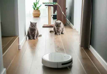 로봇 청소기에 WiFi가 필요합니까?