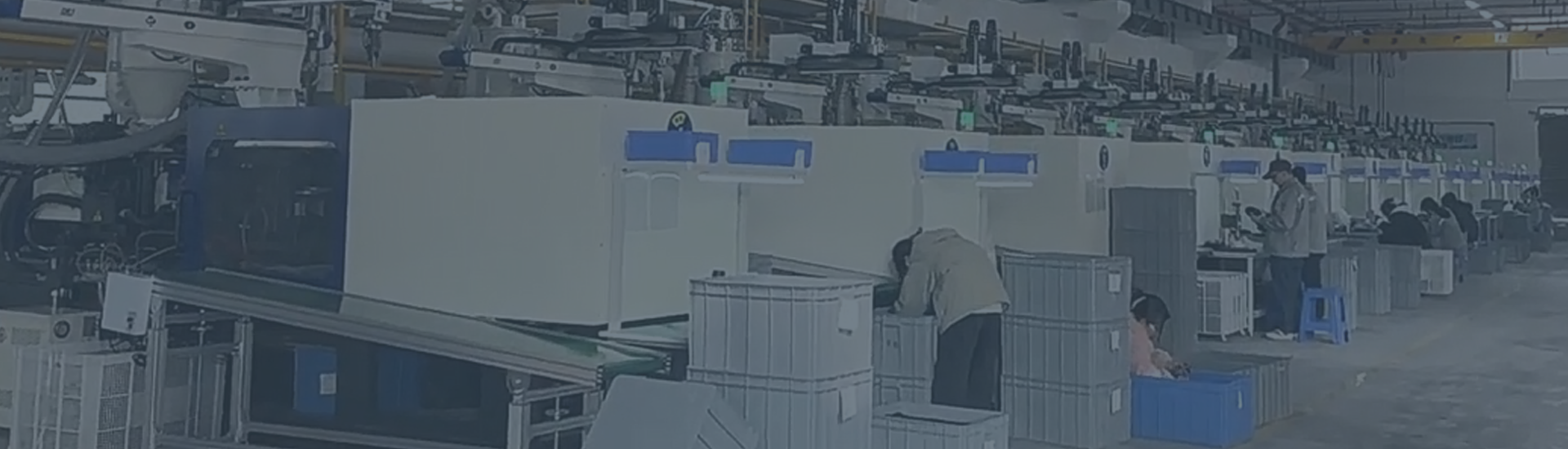 oem25.png