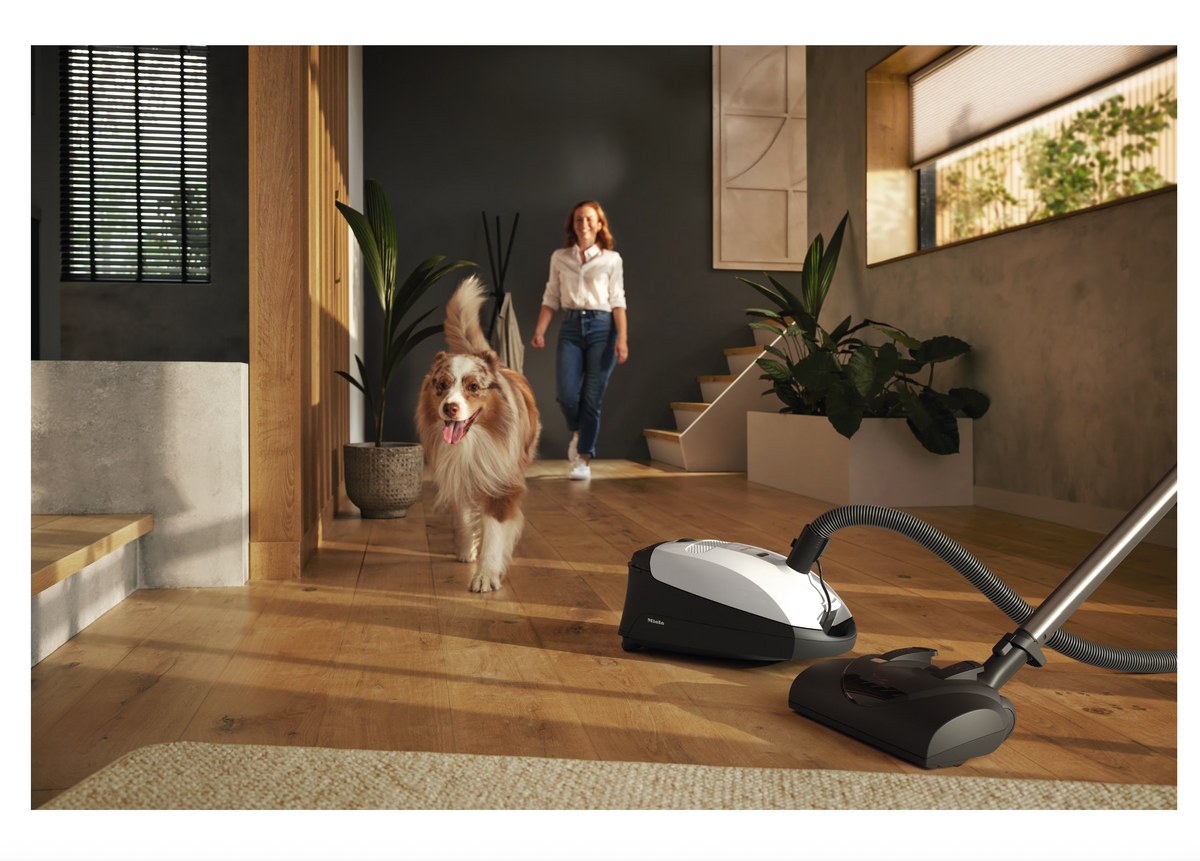 Miele Classic C1 고양이 & 개 PowerLine 진공청소기 - 로터스 화이트