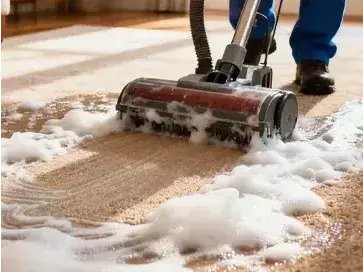 Intensive-Carpet-Cleaning_456_342_364_273_363_272.webp